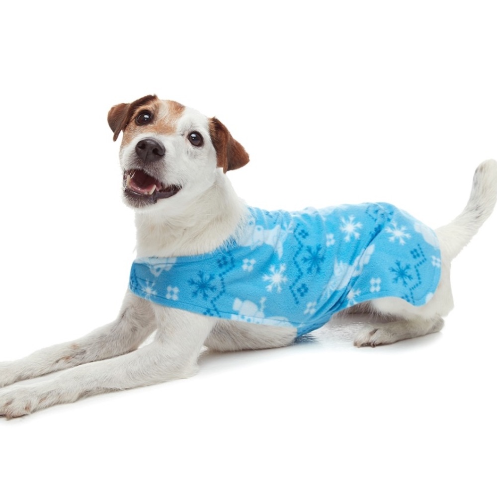Disney's Frozen Pet Bodysuit by Jammies Size Small